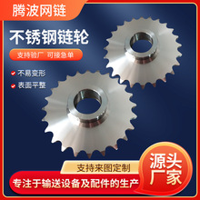 304不锈钢链轮多规格双节距输送机链轮齿轮工业提升机传动链轮