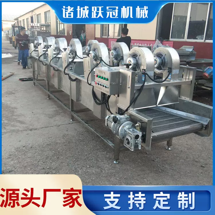 水果蔬菜风干机 全自动风干流水线设备 强流风干沥水机 热风风干