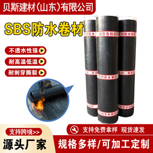 SBS��ˮ�������©ˮ���a���;���̥�ͺ�̥���Ԟr��SBS��ˮ����