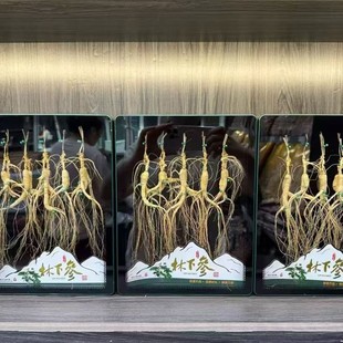 �����Y���b���l�L��ɽ�������N�YƷ�|���خa�ݾ��Ҝ��˅�����