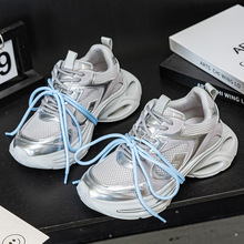 H2025¿ϵЬŮ͸͹Űٴ\ЬeЬ