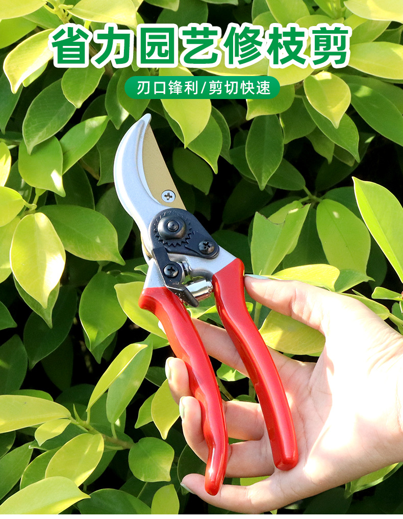 SXJ0022详情页-1688_01.jpg