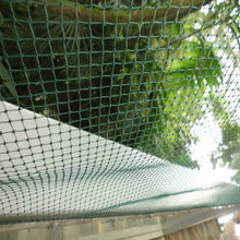 ���B�W ��ɫ�Gɫ���gС�������W ���ϻ������w�C�����o�W�S�r���l