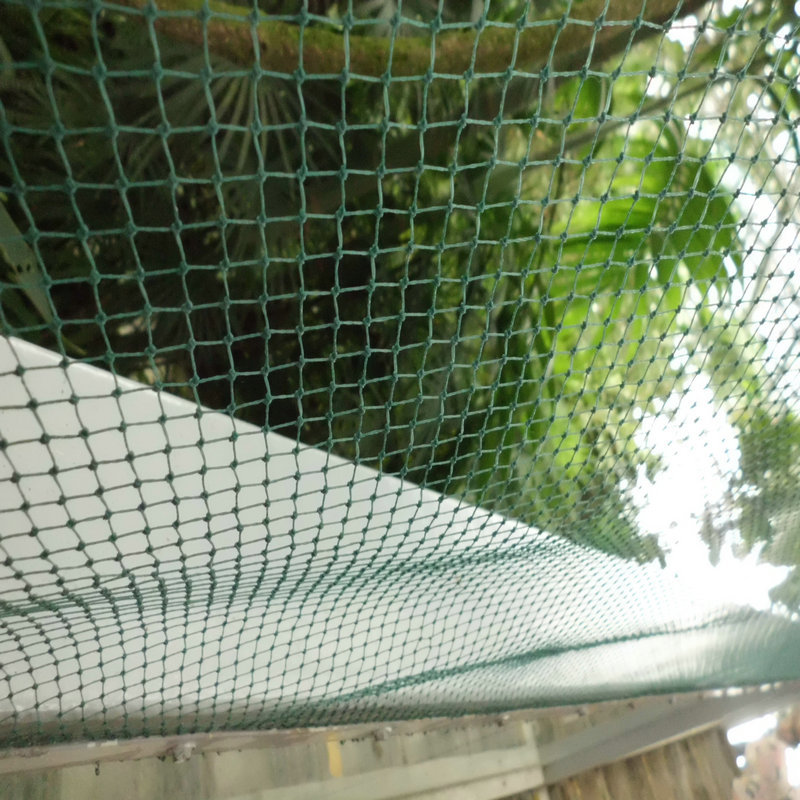 防鸟网 黑色绿色坚韧小线尼龙网 抗老化塑料飞机场防护网厂价批发