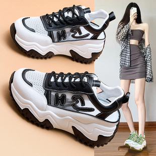 �ļ��ٽz�W��͸��С��ЬŮ2026�¿����e��������\�ӾWЬ