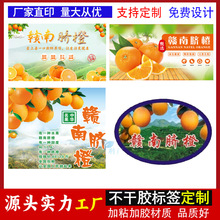 �ƶ��M��Ě�Ȳ����z�N���ָ��۽ۘ˺�ɳ�ǽ����θ����ٰ��b�̘��N