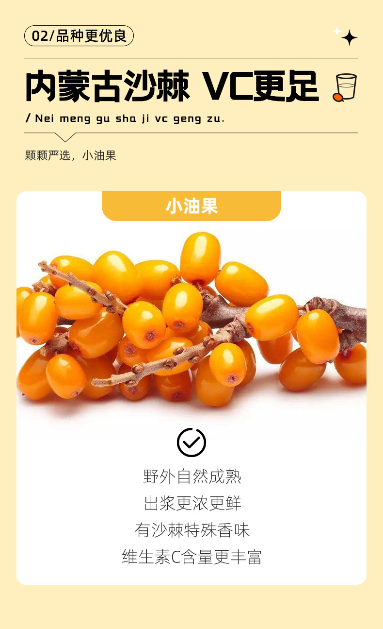 Sea Buckthorn Juice Puree 1.8L 60 Sachets Bulk Pack Fresh Pressed Ready to Drink quality and texture