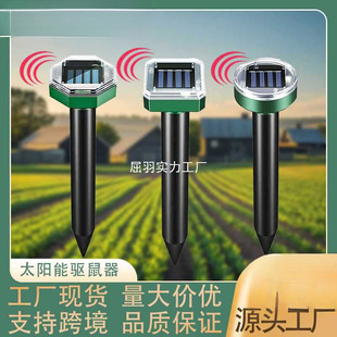 �羳̫��������ͥԺ��������������B���Bֳ�@����x�؈��