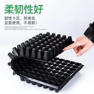 ��������Ӻ��ݮ��������Ѩ�P�߲˻���Cе�ɽ����͸��g����