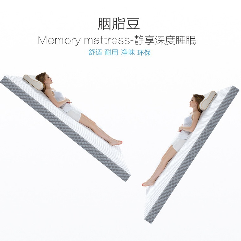 Rouge Bean Space Memory Sponge Slow Rebound Mattress Rental Tatami Student Dormitory Mattress Wholesale