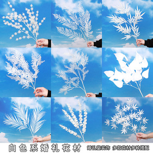 ɫϵ滨cûYò·쾰b廨ˇٻŻ