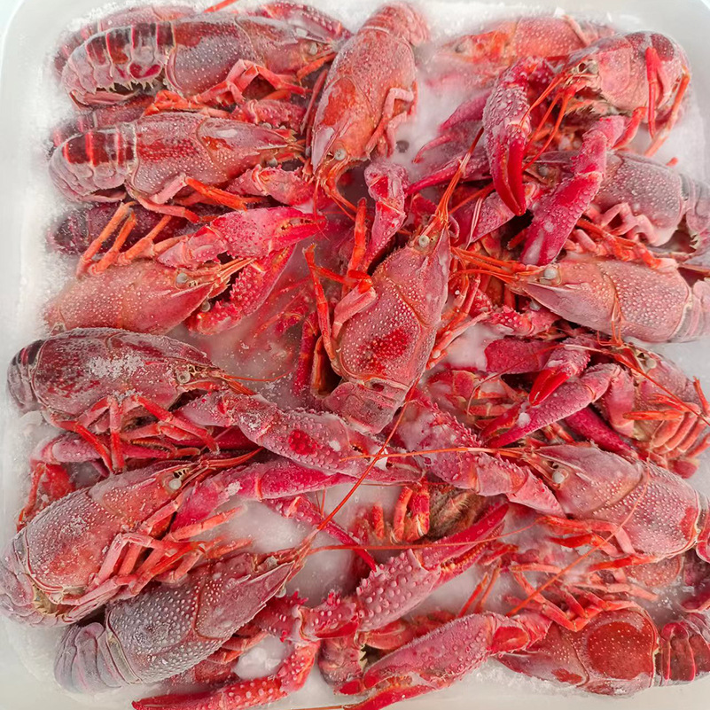 b3f6481cfb8870b4e5f051a64d6ff7