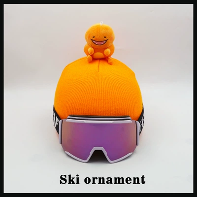 Auto Parts and Accessories Cover Ski
