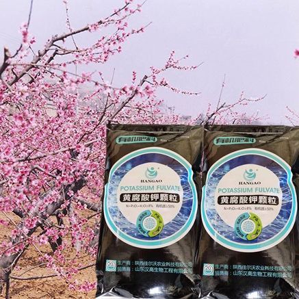 厂家直供高含量 黄腐酸钾小颗粒水溶肥叶面肥有机肥 氮磷钾肥料