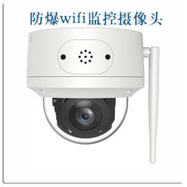 PTZ云台控制360度手机全景监控器2.5″小球机人形侦测摄像头夜视