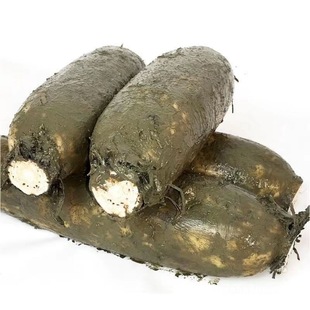 Ŵ��źź���ź���rɏź�ſ�ɢ�b��ź�FĬ�J�Ҝ����������ɏź