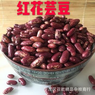 ���l�ϻ�ܿ���|����ܿ���r���Ԯa�t��ܿ���t�������s�Z��ܿ��