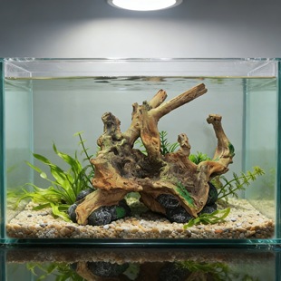 ���Q���x����~���쾰�����ľ��֬��ˇƷ��������ˮ�����b�