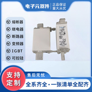 Fast Fuse 170m1564 170m1570 New Original Digital Components Large Quantity and Excellent Price