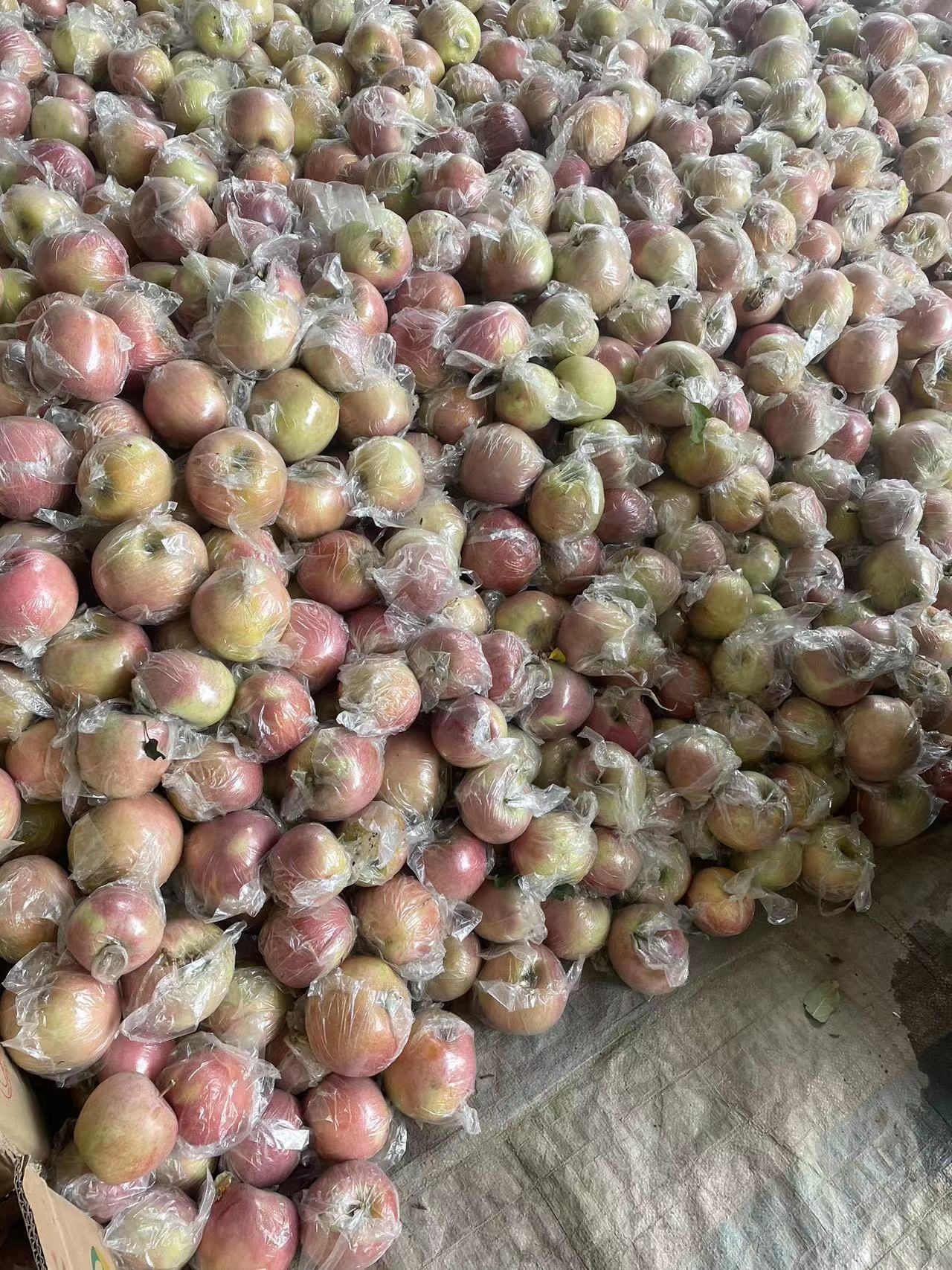 131016bf-be86-4af9-a9c4-2d9061