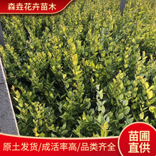 �G������~Ůؑ����ͥԺ�G��С�^�@�־G������ �ļ�����ͥԺֲ��