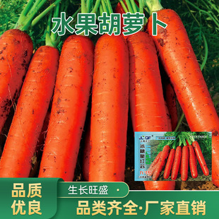 ���}���N�ӼtƤ�t�ĺ��}���ѾŴ煢�����̨�N�Ӳ���ˮ�����}���N