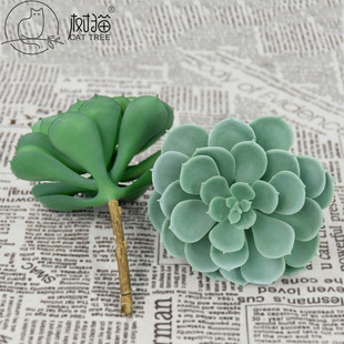 �¿��ɏ���z���������ֲ���ָ�ʯɏ��С���ԾGֲ�b�����[��