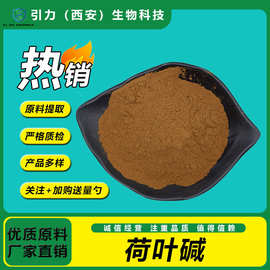 荷叶碱4%  引力生物 荷叶提取物 荷叶萃取 水溶性 荷叶粉