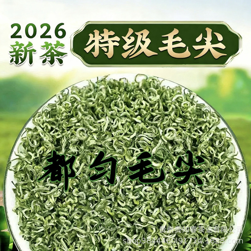 High Mountain Cloud Mist 2026 New Tea, Guizhou Wholesale Grade, Young Buds, Loose Leaf, Pre-Qingming Tea, Duyun Maojian, Roasted Green Tea High Mountain Cloud Mist 2026 New Tea, Guizhou Wholesale Grade, Young Buds, Loose Leaf, Pre-Qingming Tea, Duyun Maojian, Roasted Green Tea