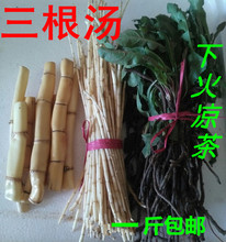 ������r������ �پ�����é�� �J�� �ѹ�Ӣ �����Ʒ�»����ʳ��