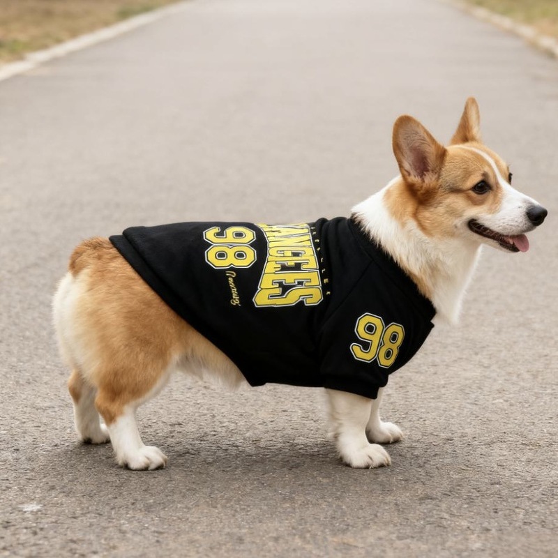 跨境宠物衣服秋冬中小型犬狗狗衣服潮流美式柯基泰迪法斗小狗卫衣|undefined