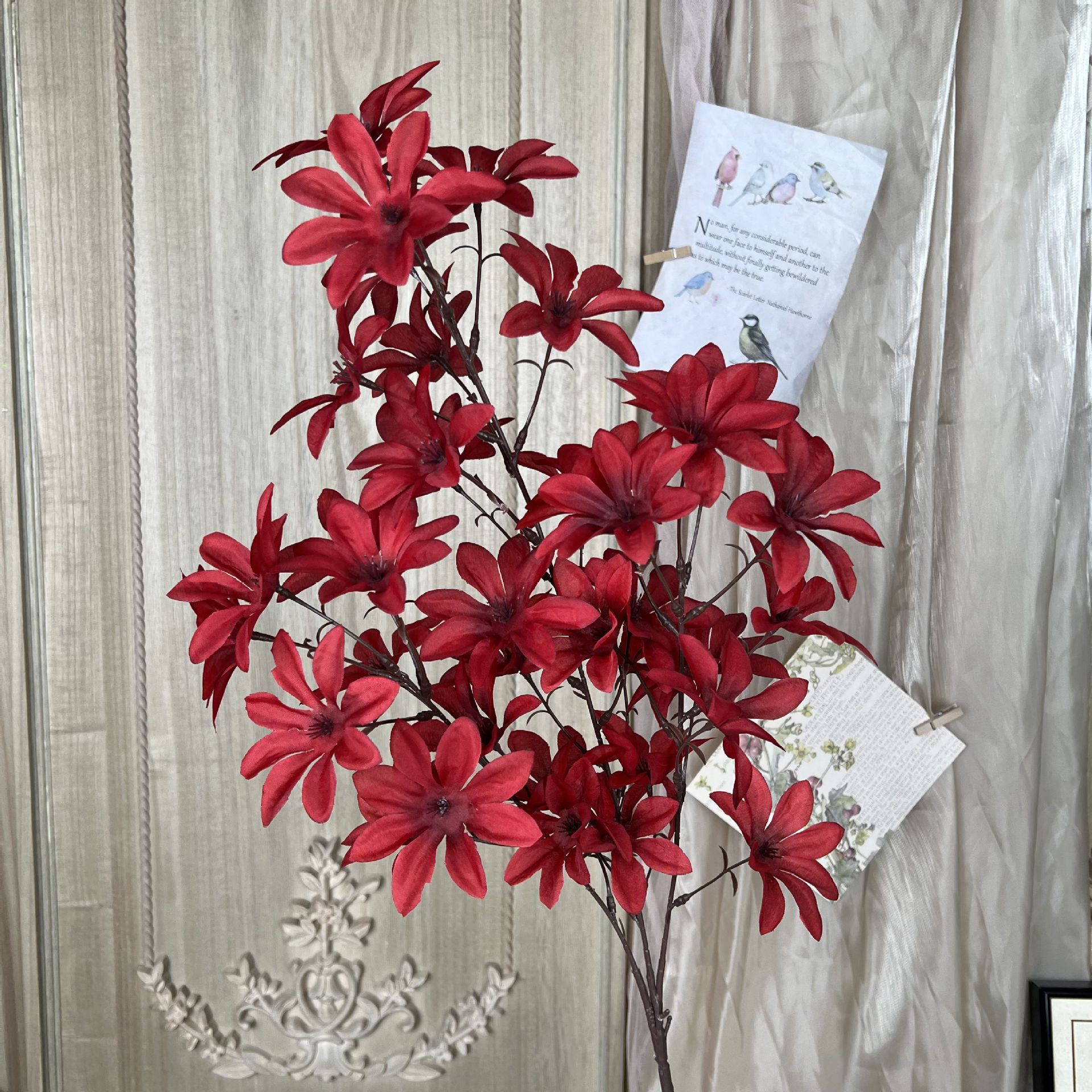 XQ-3 Orquídea da Amizade bifurcada-Vermelho