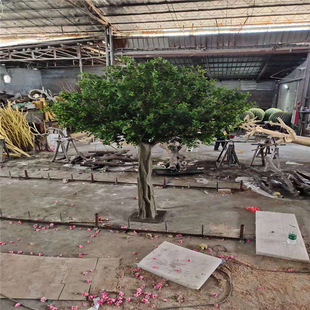 ���渣µͩ��/������Ř�٘��˹����^�b� �S��