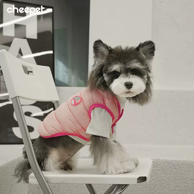 宠物猫狗秋冬背心糖果色双面穿棉服雪纳瑞基础百搭小狗狗衣服批发