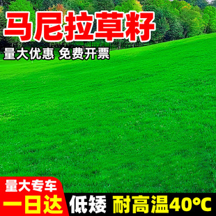 �R���������ļ������Ľ��̨��2̖��ƺ�N�Ӱ����G���o�¹���