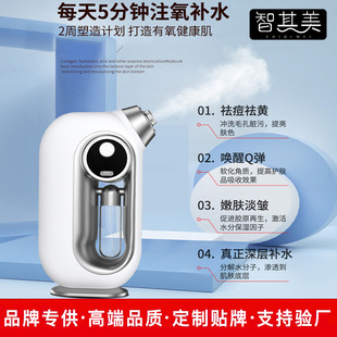 New Handheld Blue Light Oxygen Injection Meter Household High-Pressure Nano Spray Hydration Portable Cold Water Oxygen Meter Cross-Border Delivery