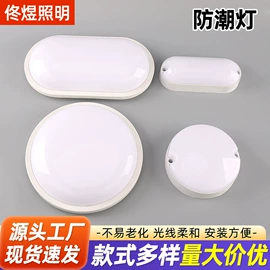 吸顶灯;筒灯;LED日光灯