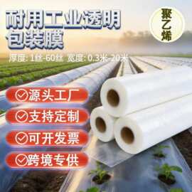 防雨高压PE薄膜透明防水农用专用加厚塑料薄膜防渗防风防晒塑料布