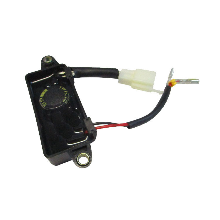 Regulador de voltaje de los accesorios 2-3kw del generador del motor de gasolina GX160 transfronterizo