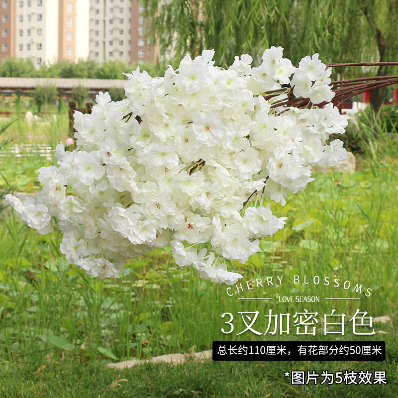 암호화된 흰색 십자가 3개