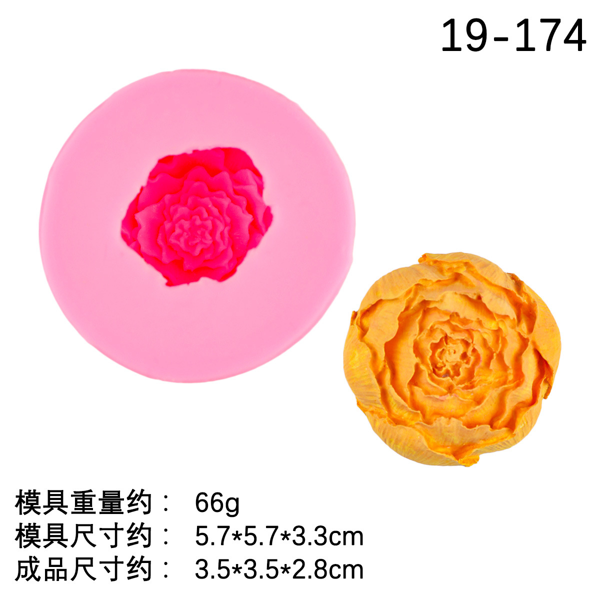 4 #19-174 Rosa