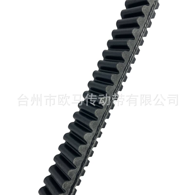 drive belt 21190102501 – Belt