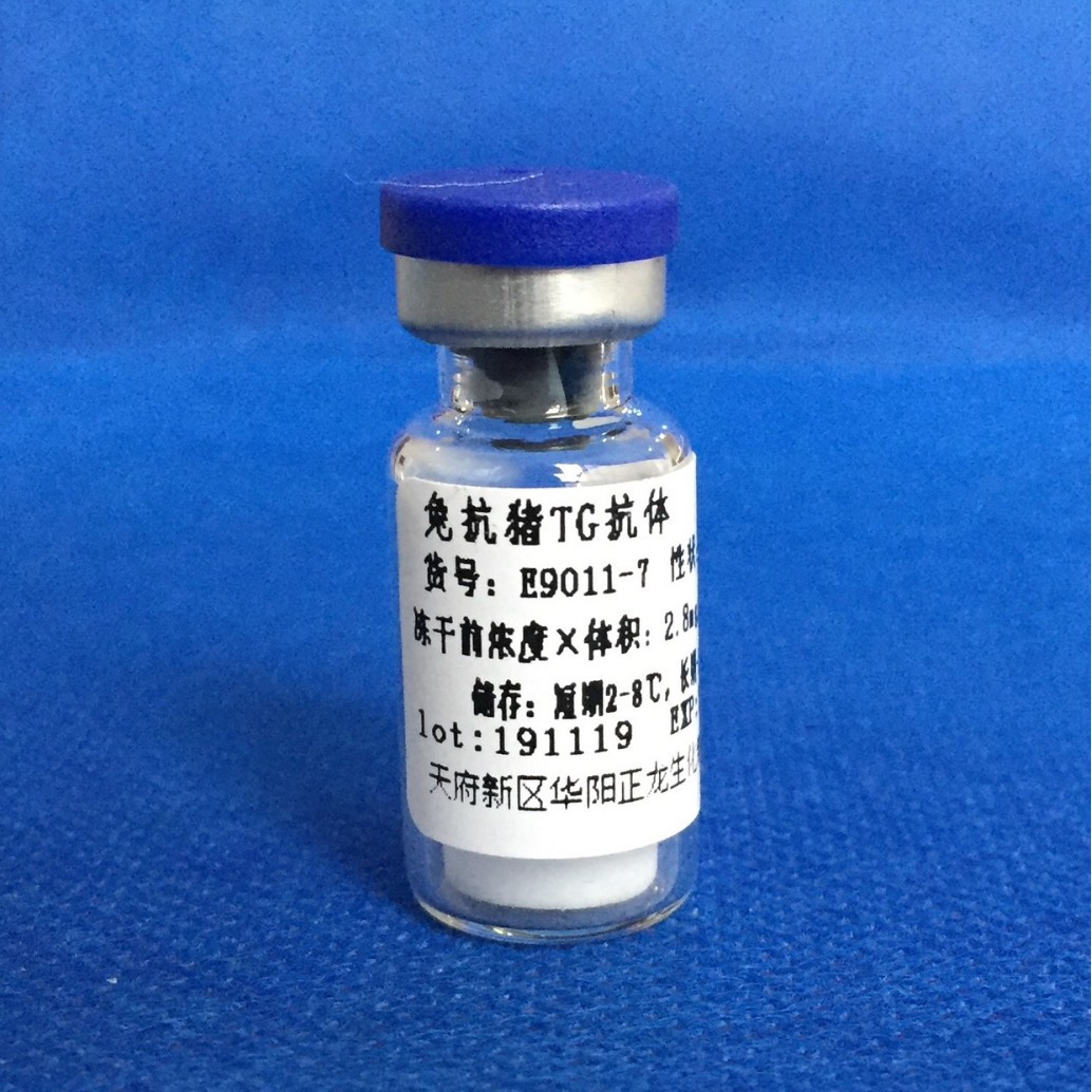 �ÿ���TG����