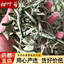 ½~ո~~ӻݲɢb500Bˮșץ