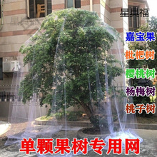 BW¿BּΌ{ݮ@oW˵̨o