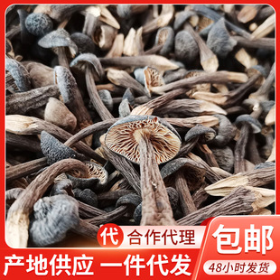 ����خa��Ƥ�u����؛2�� ʳ�þ���С���u�� ʳ���r�aƷһ�����l