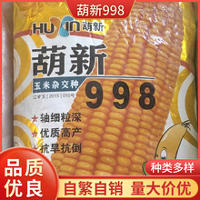 ����998���׷N�� ���������s���N�� �����s���r�I�N��