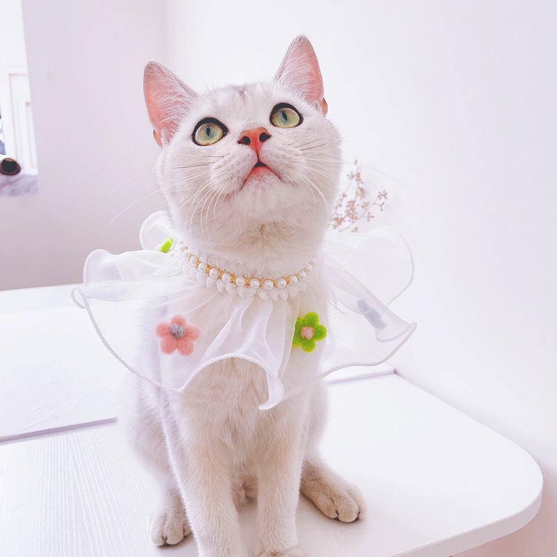 Фабрика оптом кошачий кружевной шифоновый нагрудник летом тонкий собачий милый цветок декоративный ошейник для домашних животных шарф