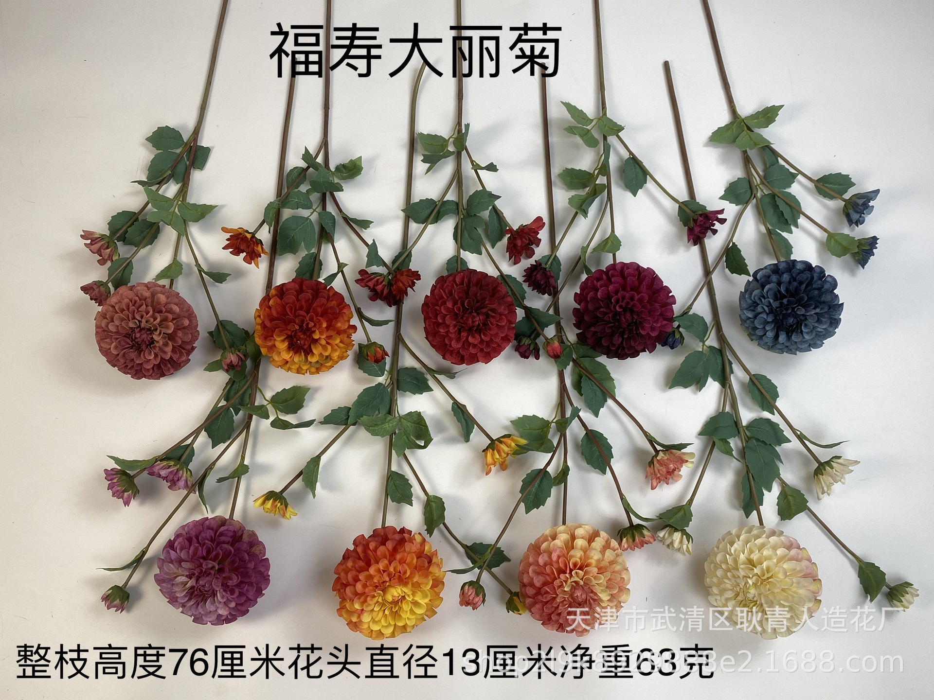 c3654590604358a4496dc779b6b4d0