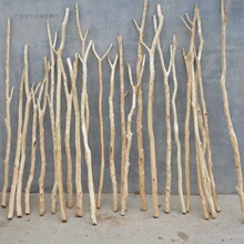 �S��ֱ�l���͘�֦ȥƤ��֦��֦��������¼�ԭľ�¼ܒ�̺ľ��